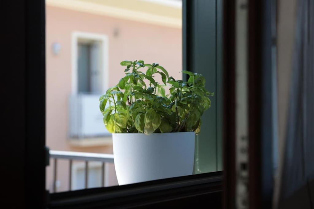 15 Min Padova Appartamento Moderno Travato Legnaro Eksteriør bilde